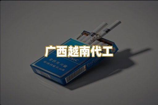 广西越南代工